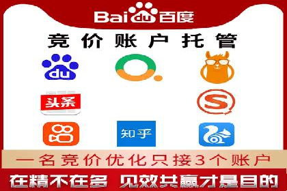 SEM广告创意与优化：成功案例分享